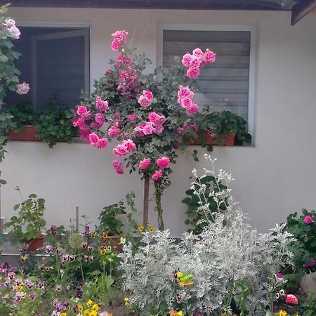 Vila Casa Luminita Ieşelniţa Exteriér fotografie
