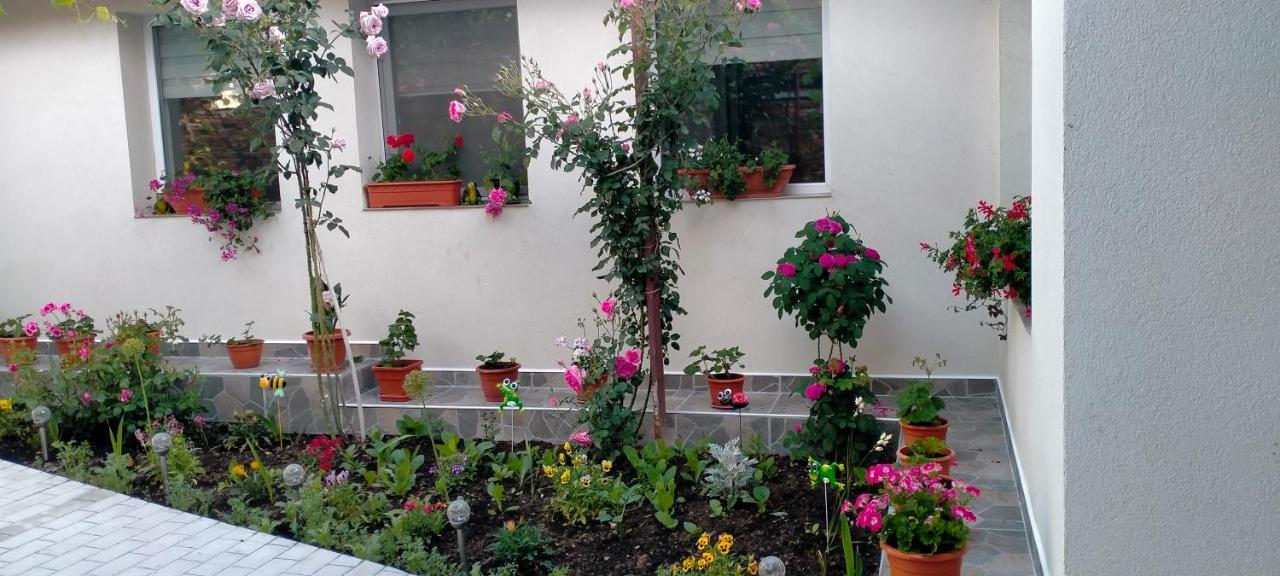 Vila Casa Luminita Ieşelniţa Exteriér fotografie