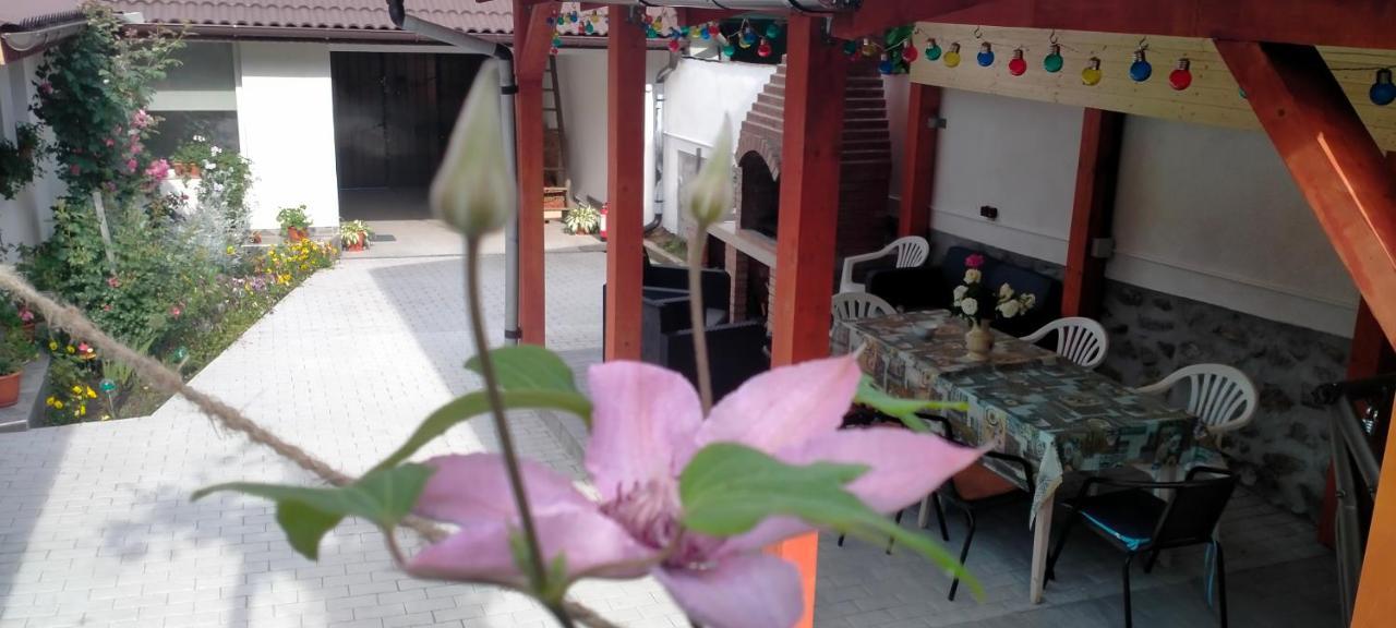 Vila Casa Luminita Ieşelniţa Exteriér fotografie