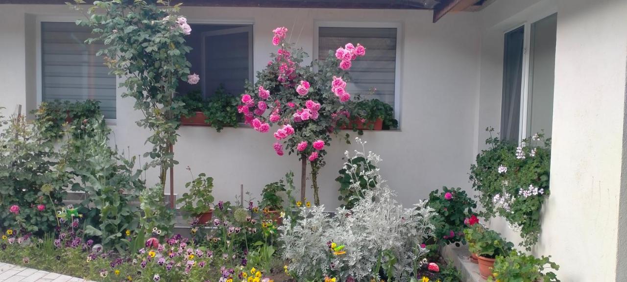 Vila Casa Luminita Ieşelniţa Exteriér fotografie